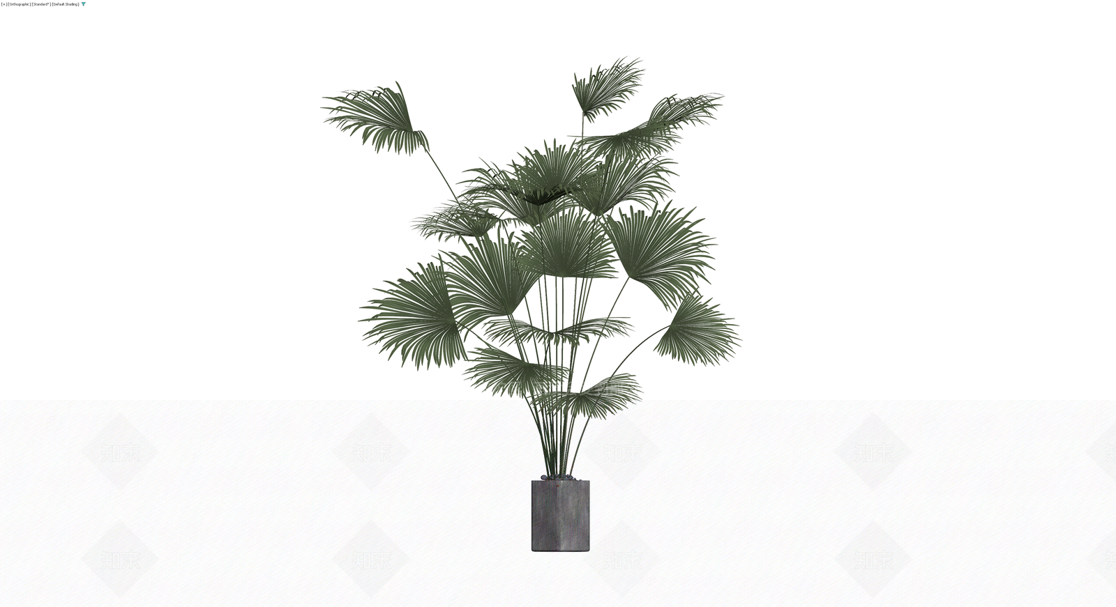 盆栽棕榈植物3D模型下载【ID:1230560015】
