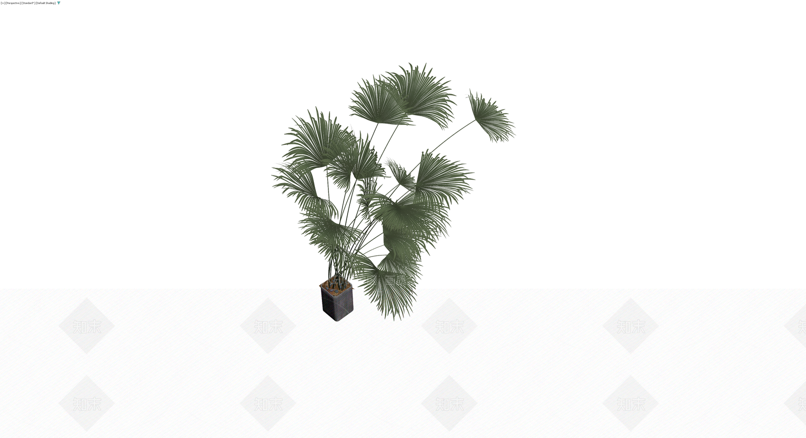 盆栽棕榈植物3D模型下载【ID:1230560015】