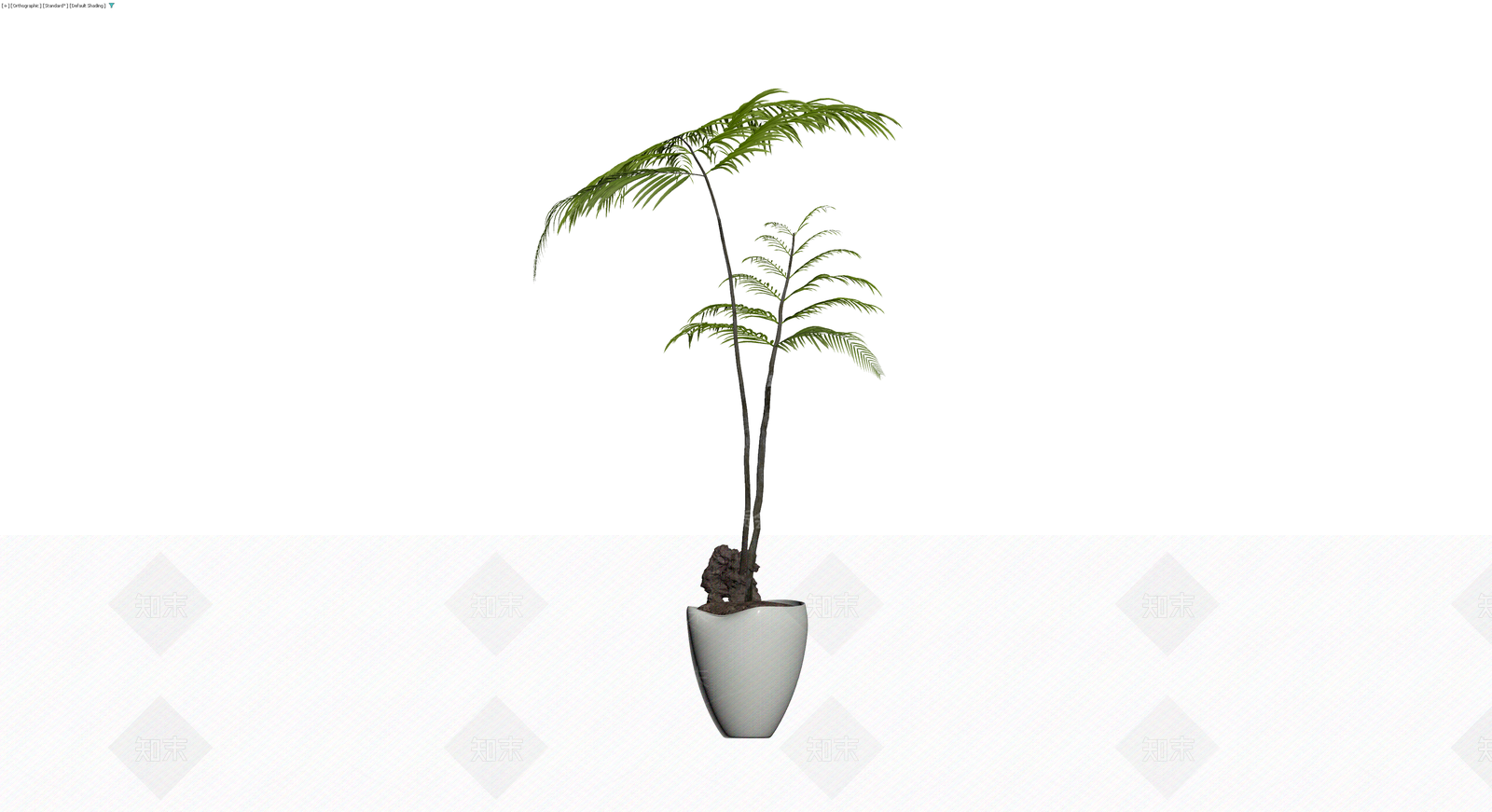 盆栽蕨类植物3D模型下载【ID:1230010930】