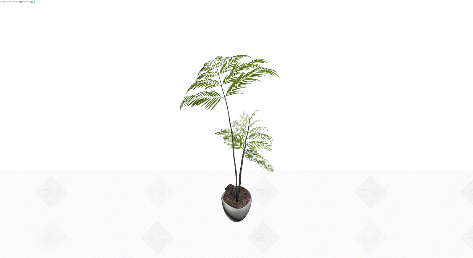 盆栽蕨类植物3D模型下载【ID:1230010930】