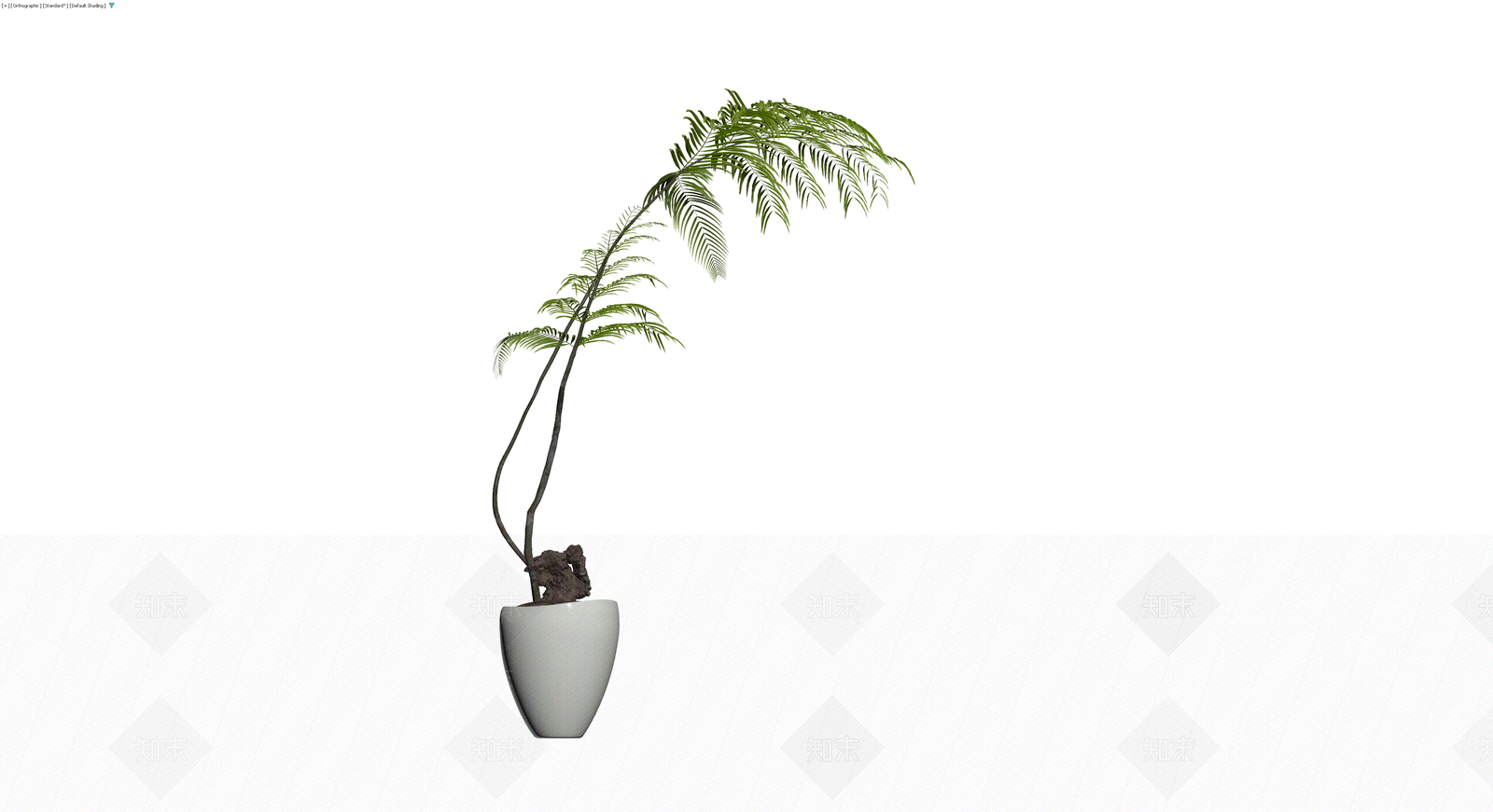盆栽蕨类植物3D模型下载【ID:1230010930】