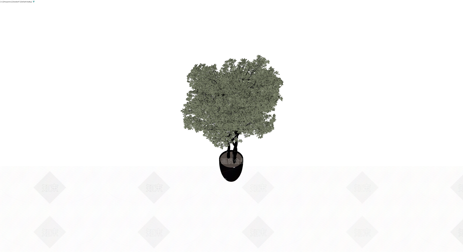 盆栽植物模型（带盆）3D模型下载【ID:1230412622】