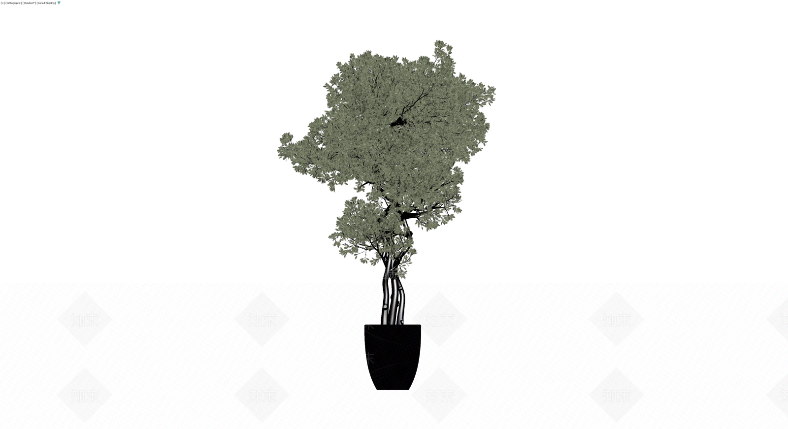 盆栽植物模型（带盆）3D模型下载【ID:1230412622】