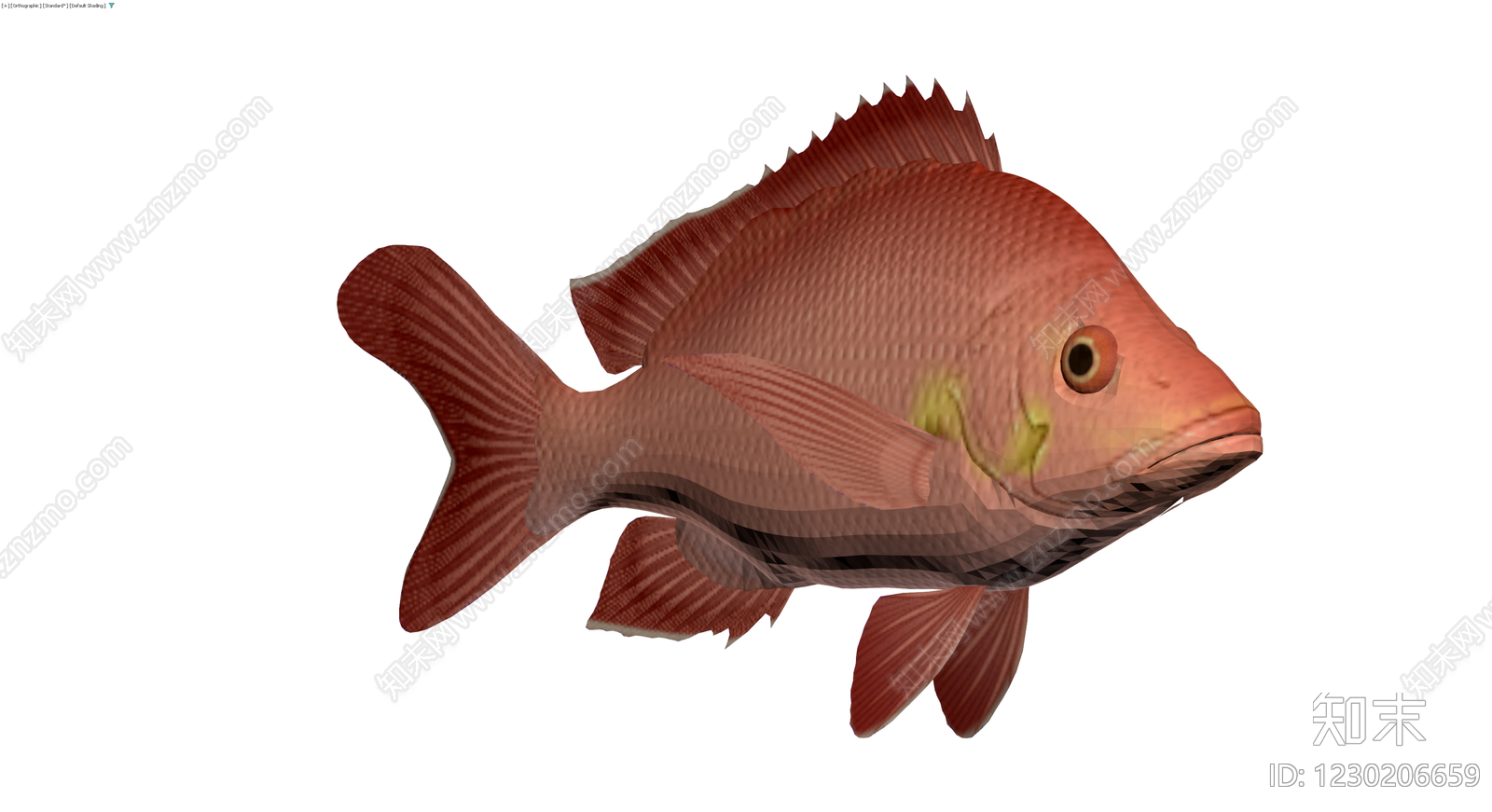 红鲷鱼3D模型3D模型下载【ID:1230206659】