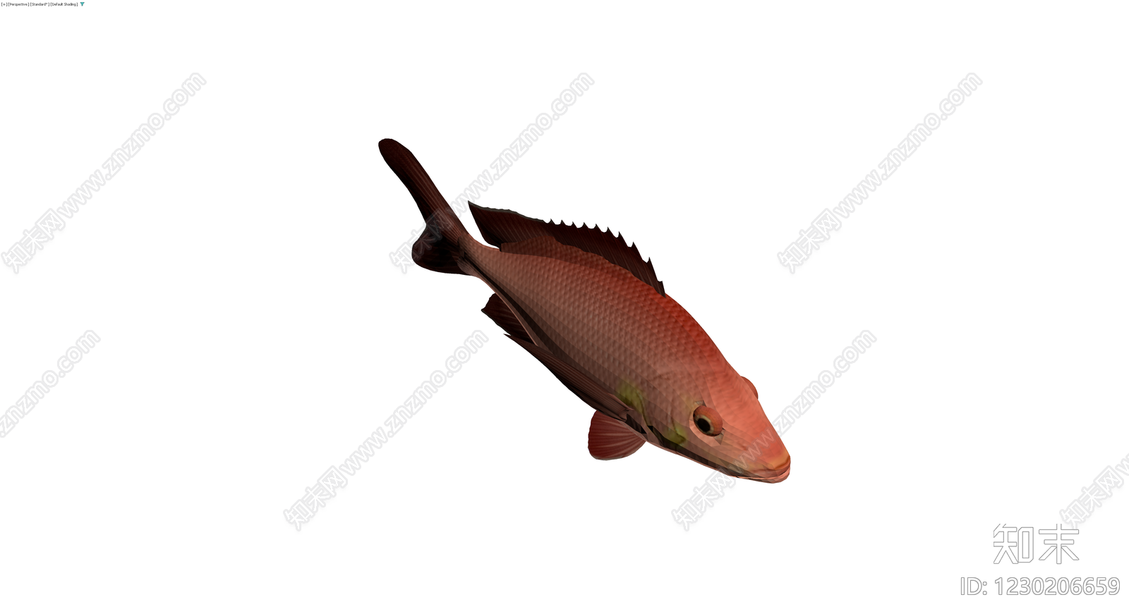 红鲷鱼3D模型3D模型下载【ID:1230206659】
