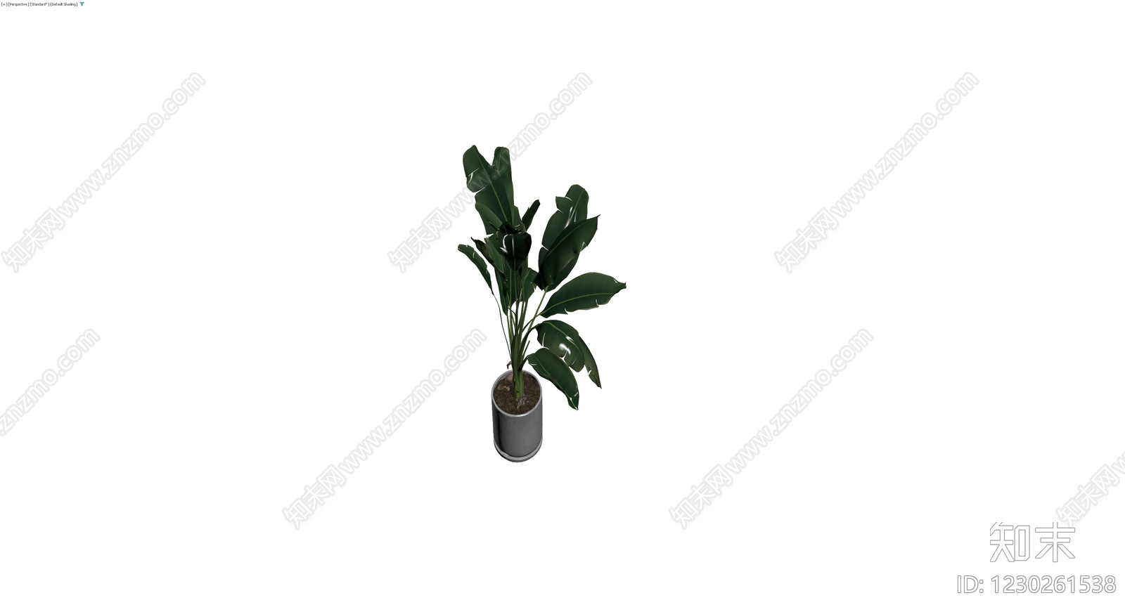 盆栽绿植带盆3D模型下载【ID:1230261538】