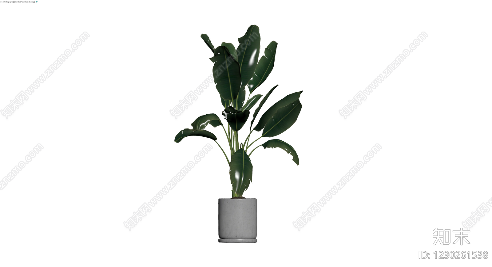 盆栽绿植带盆3D模型下载【ID:1230261538】