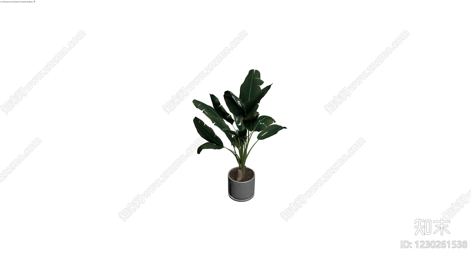 盆栽绿植带盆3D模型下载【ID:1230261538】
