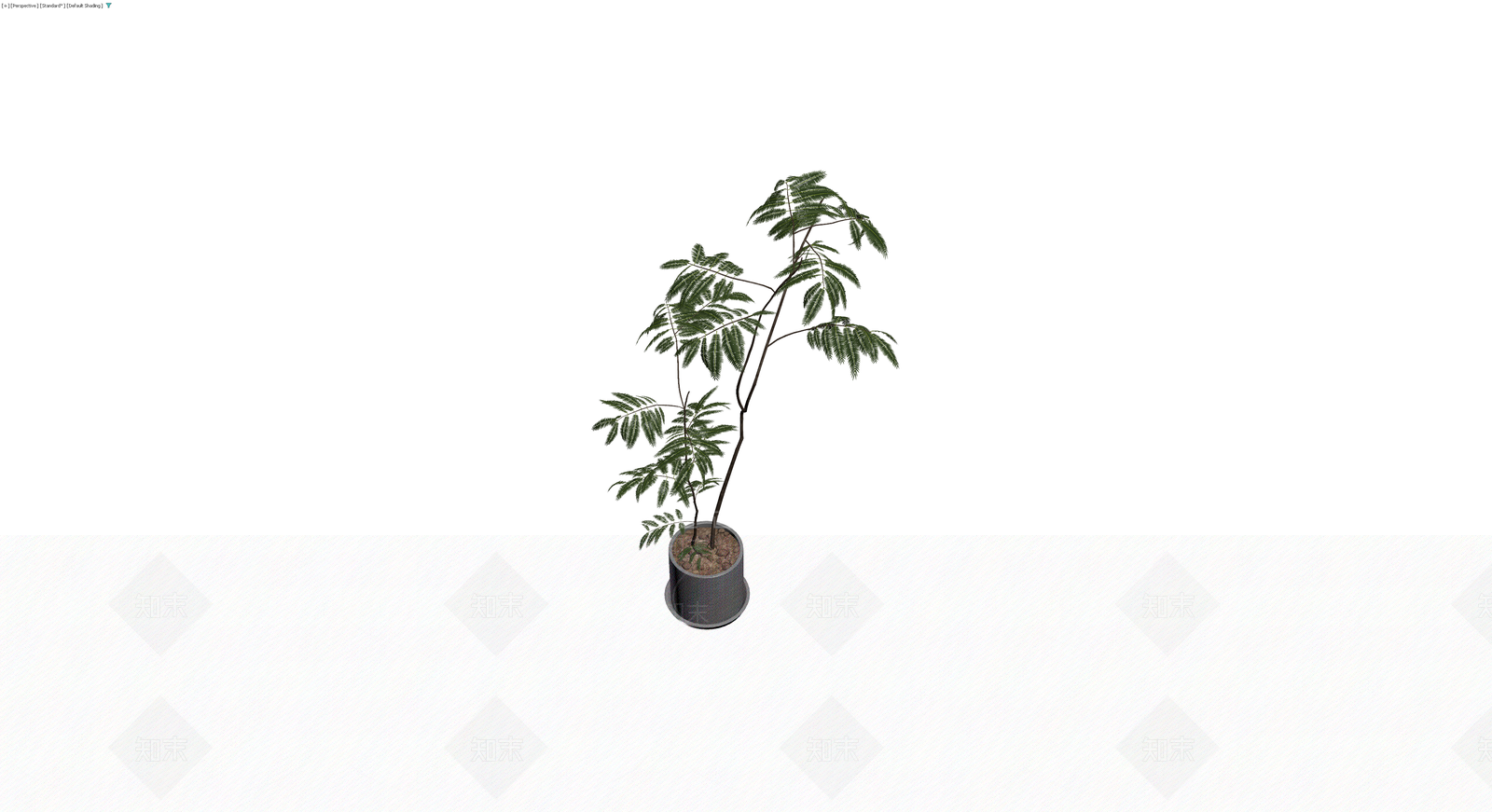 盆栽仿真植物模型3D模型下载【ID:1230775103】