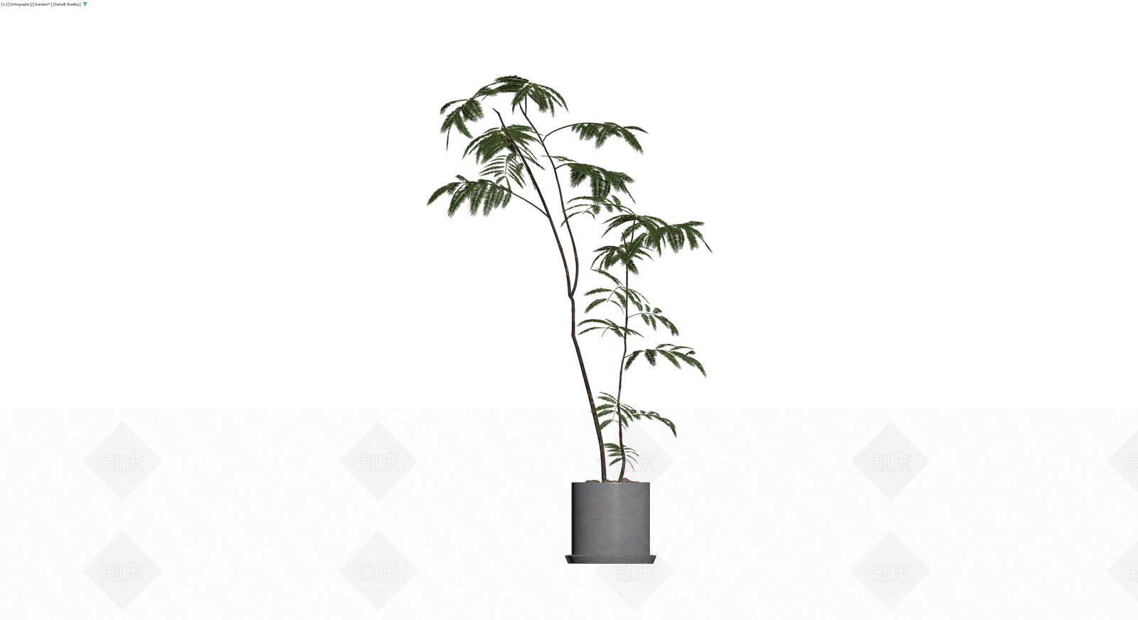 盆栽仿真植物模型3D模型下载【ID:1230775103】