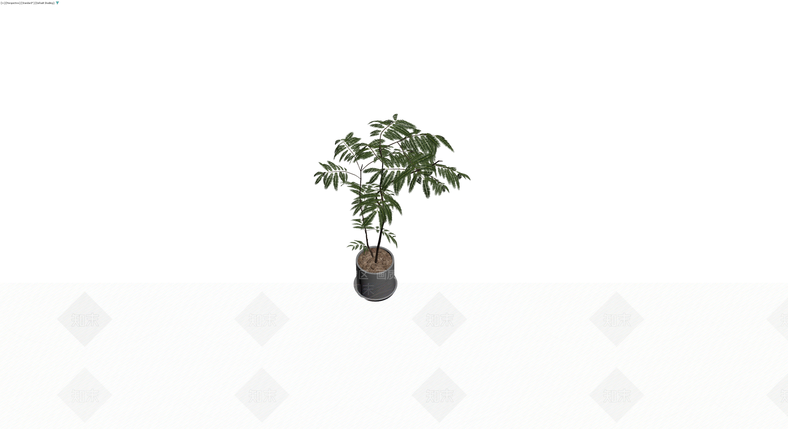 盆栽仿真植物模型3D模型下载【ID:1230775103】
