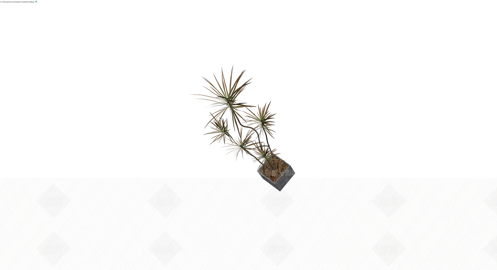 灰色花盆带盆栽植物3D模型下载【ID:1229936424】