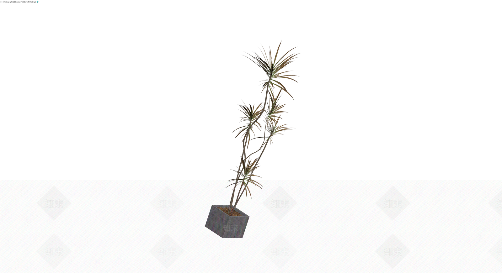 灰色花盆带盆栽植物3D模型下载【ID:1229936424】