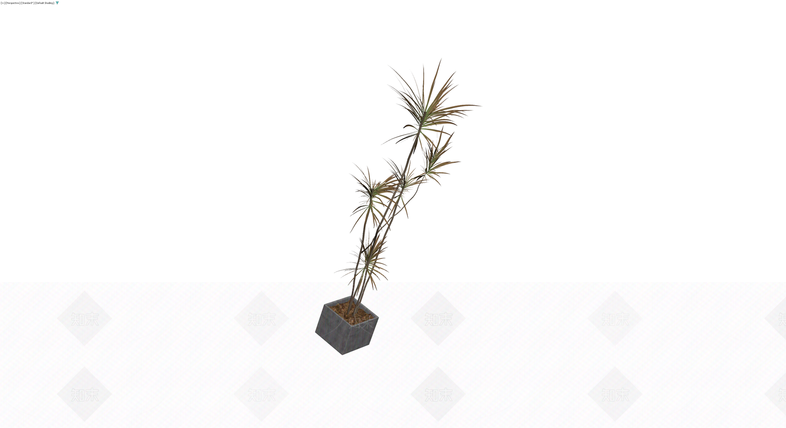 灰色花盆带盆栽植物3D模型下载【ID:1229936424】