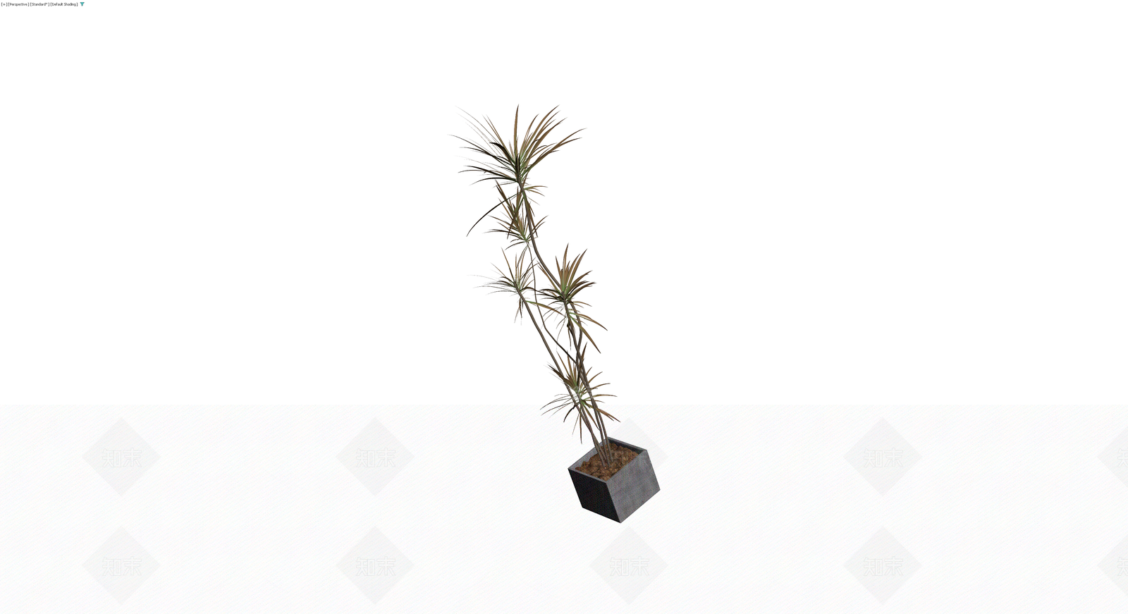灰色花盆带盆栽植物3D模型下载【ID:1229936424】