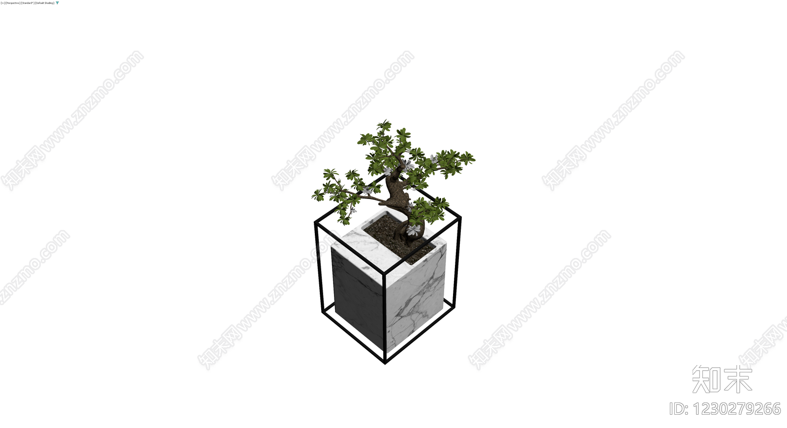大理石盆栽植物组合3D模型下载【ID:1230279266】