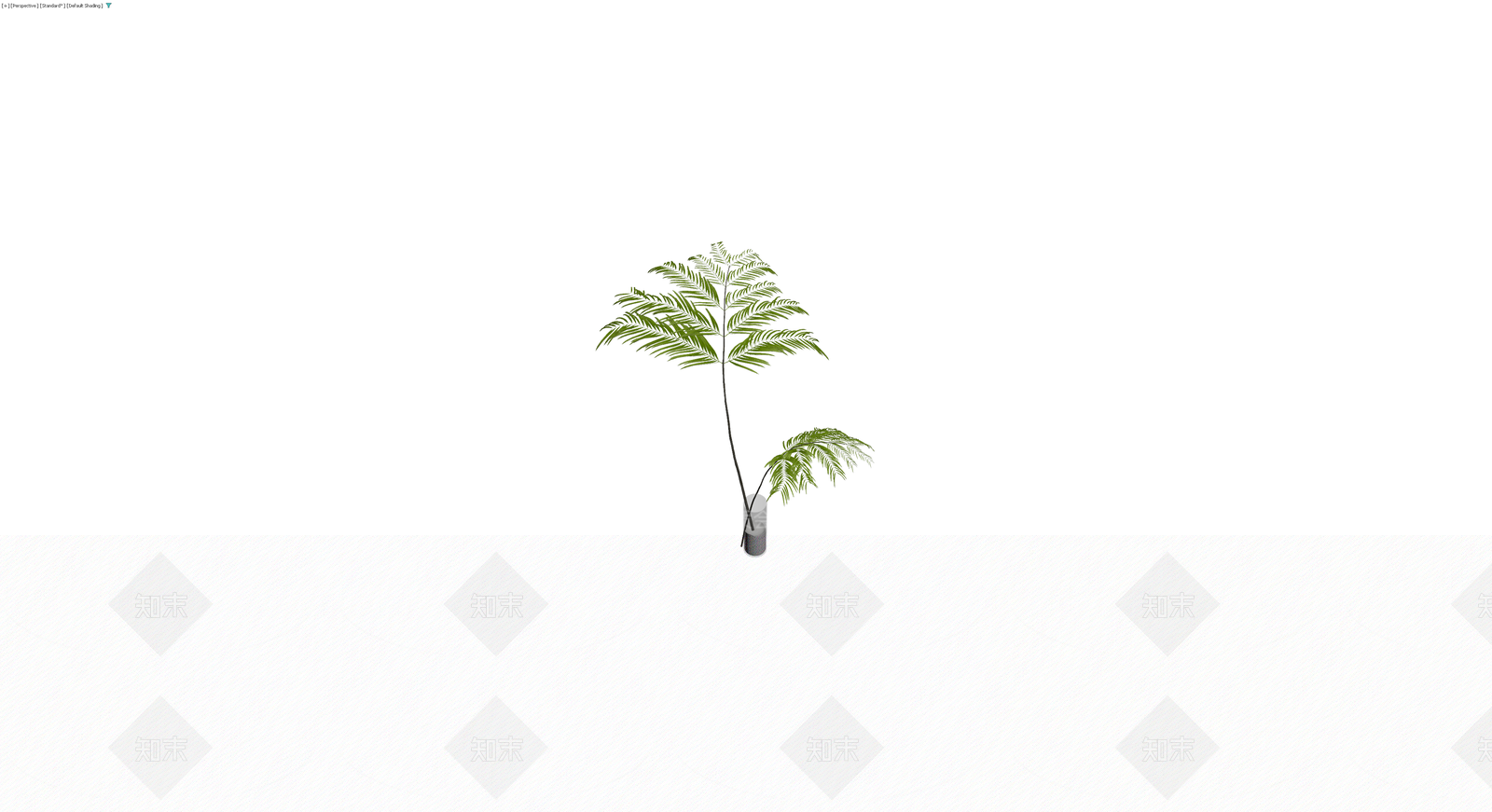 盆栽蕨类植物模型3D模型下载【ID:1230330647】