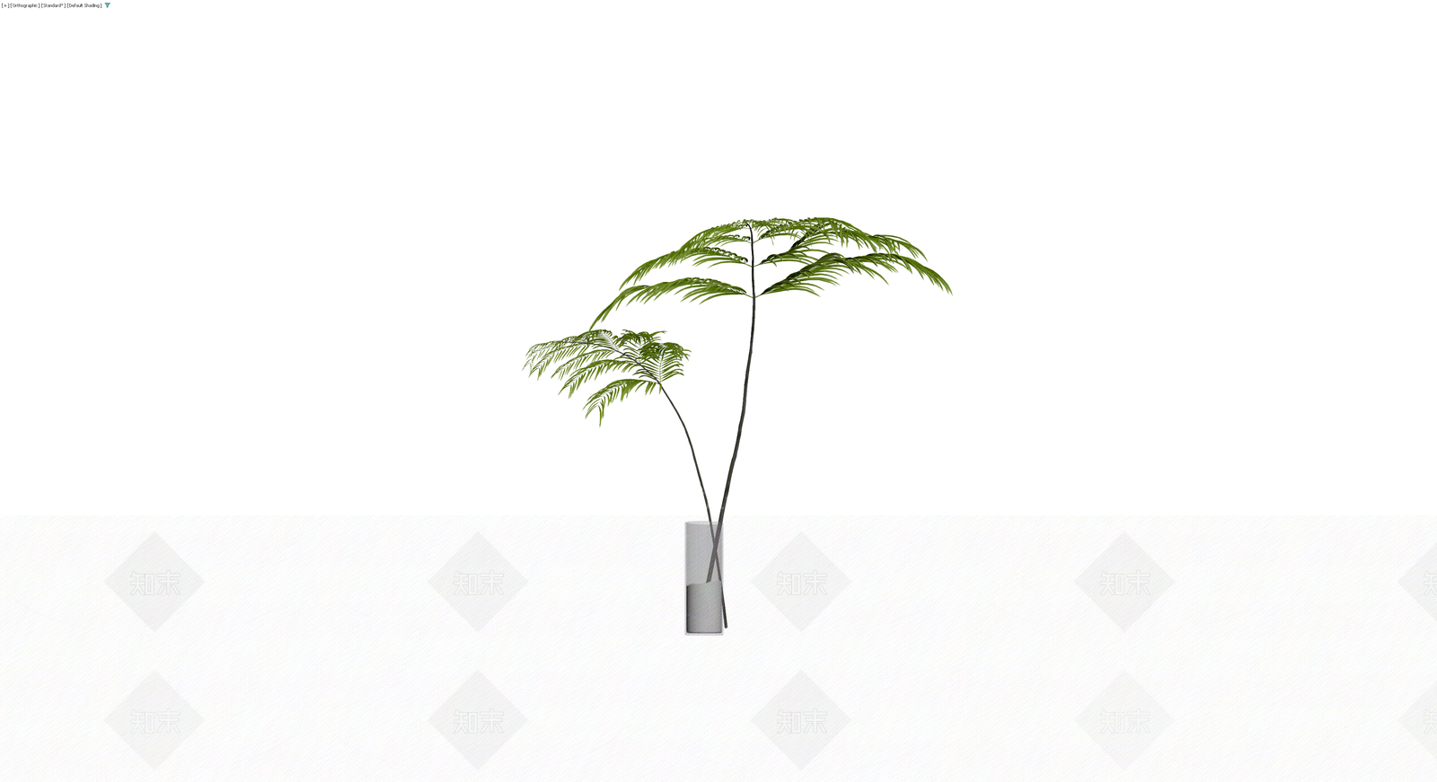 盆栽蕨类植物模型3D模型下载【ID:1230330647】