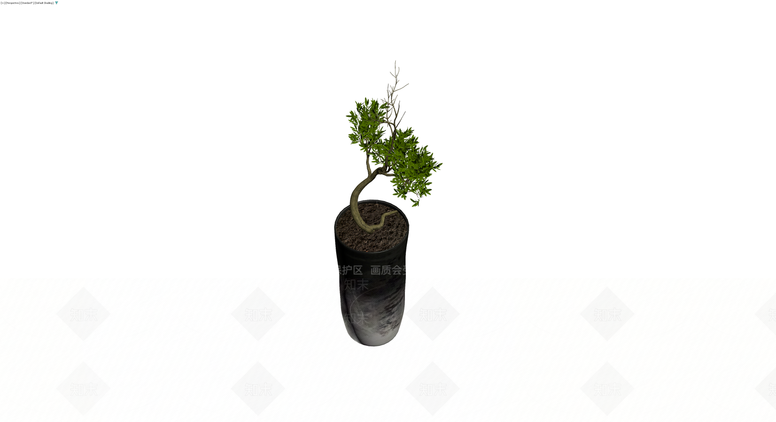 带盆盆栽植物模型3D模型下载【ID:1229915310】