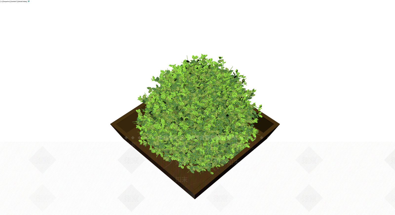 方形盆栽绿植组合3D模型下载【ID:1230430355】
