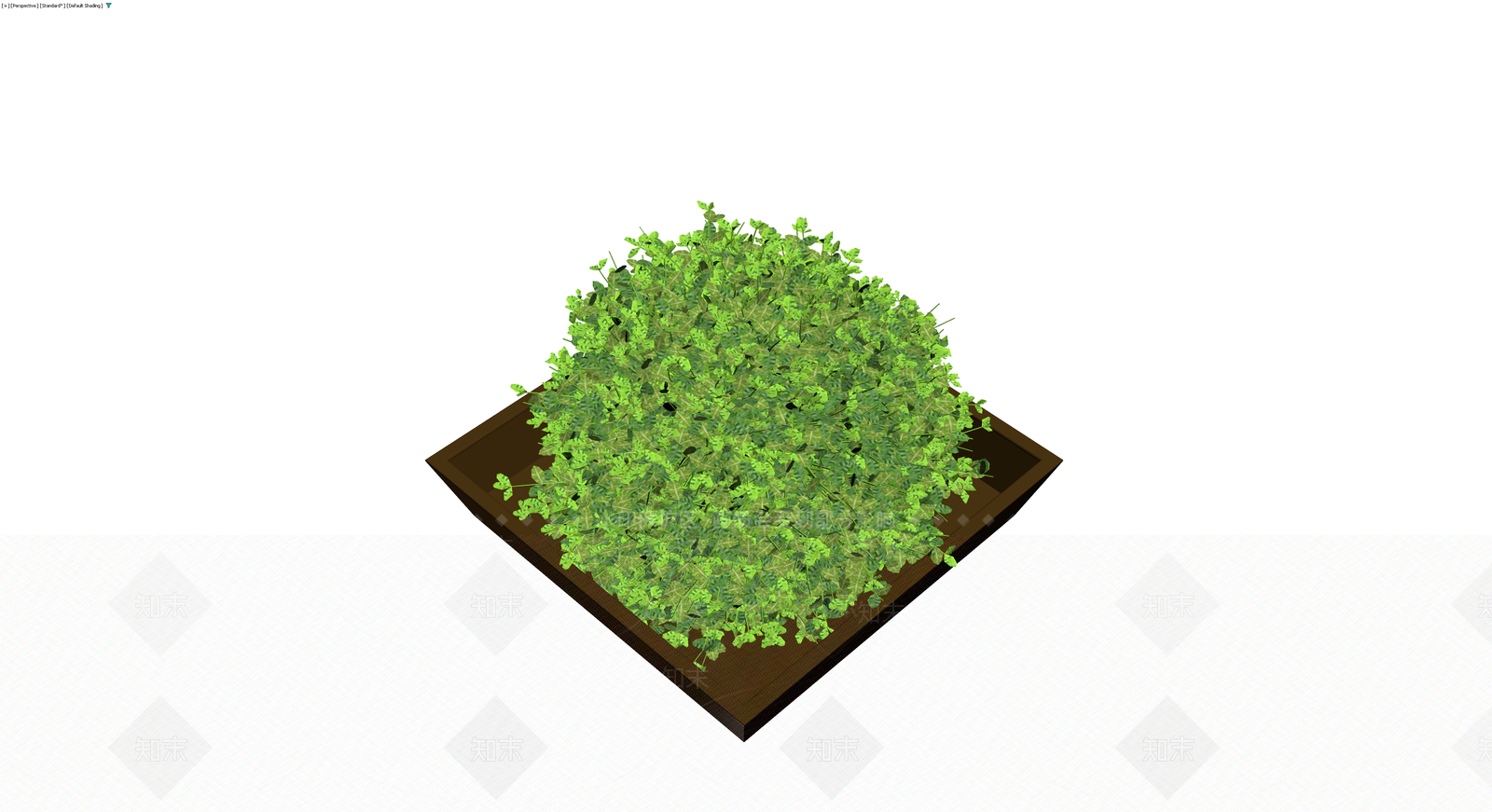 方形盆栽绿植组合3D模型下载【ID:1230430355】