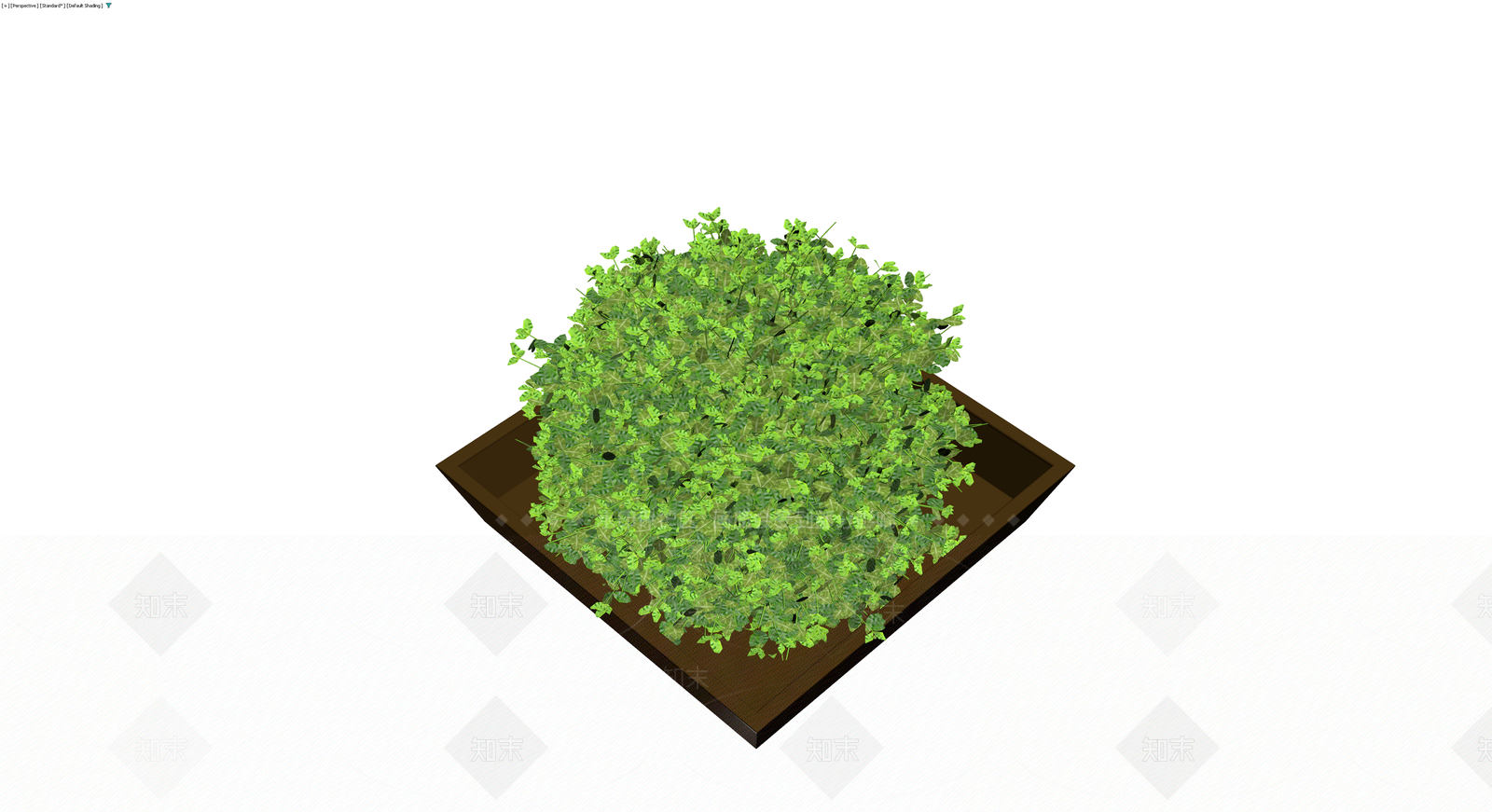 方形盆栽绿植组合3D模型下载【ID:1230430355】