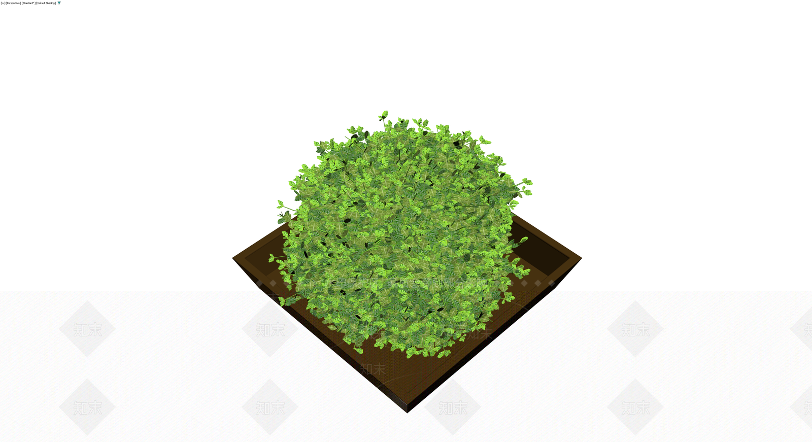 方形盆栽绿植组合3D模型下载【ID:1230430355】