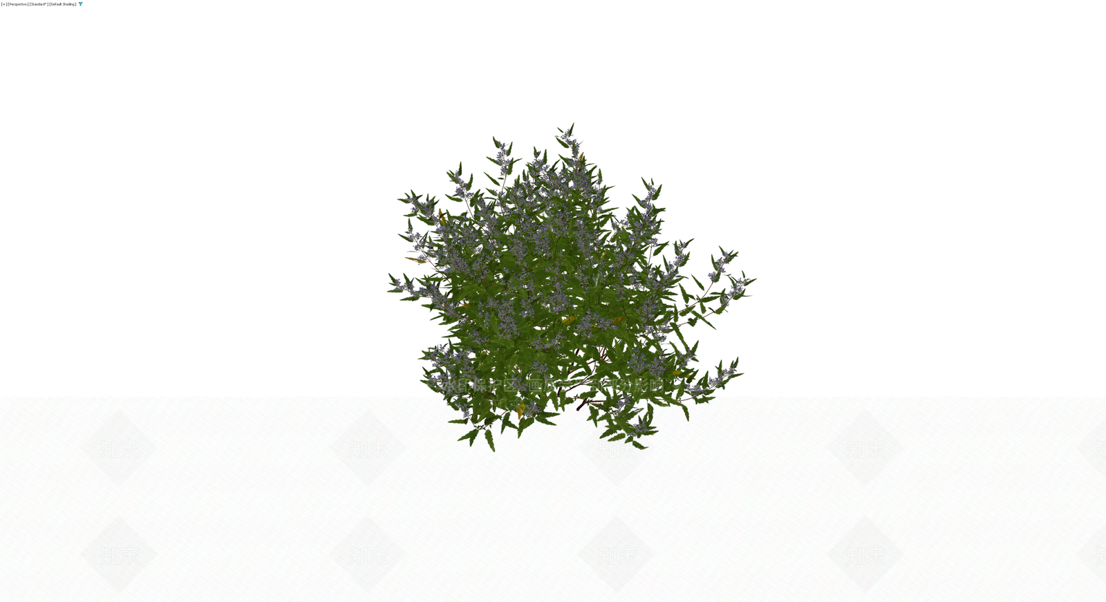 紫色开花灌木模型3D模型下载【ID:1230147128】
