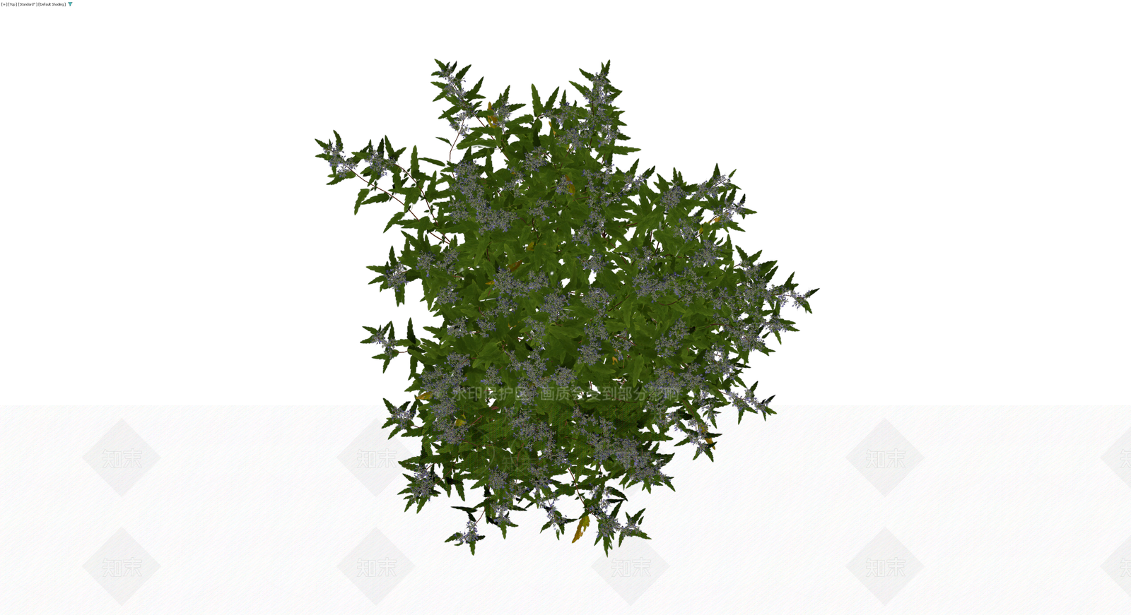 紫色开花灌木模型3D模型下载【ID:1230147128】