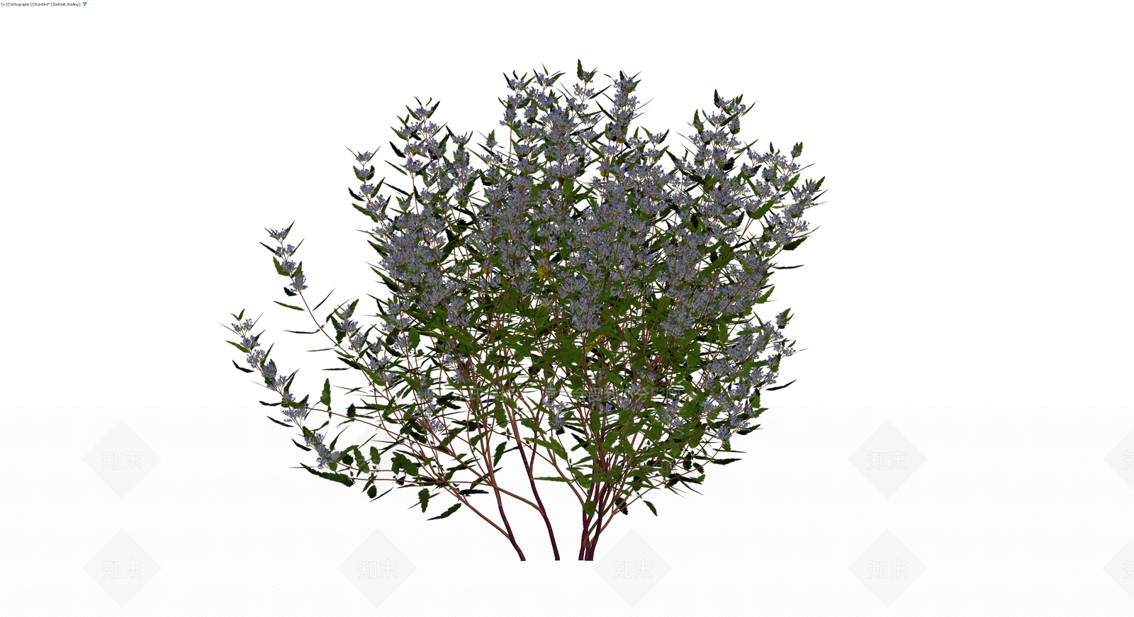 紫色开花灌木模型3D模型下载【ID:1230147128】
