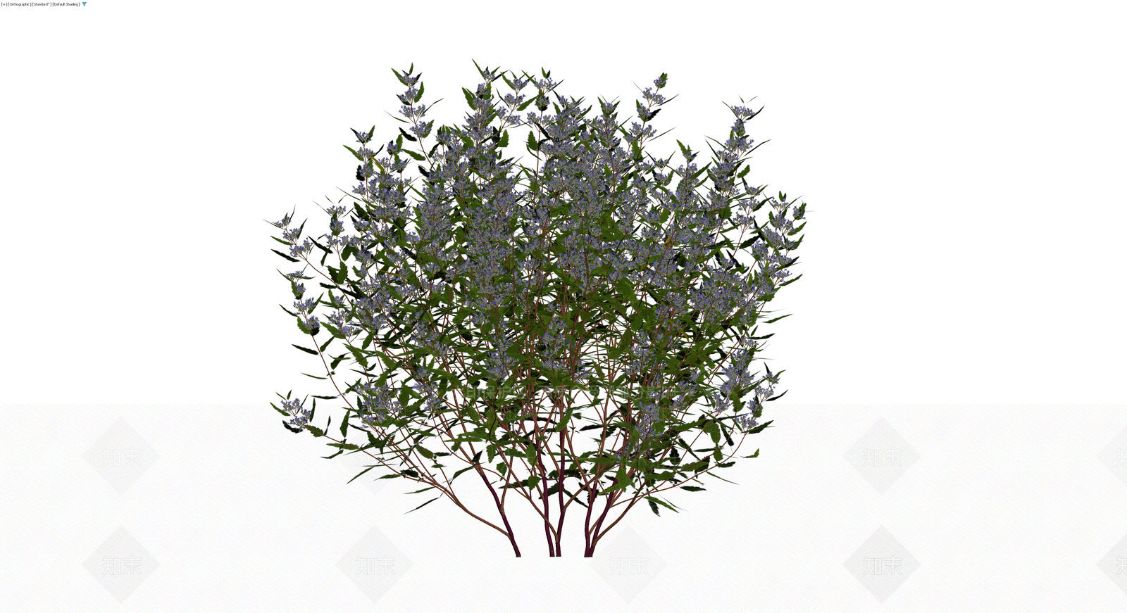 紫色开花灌木模型3D模型下载【ID:1230147128】