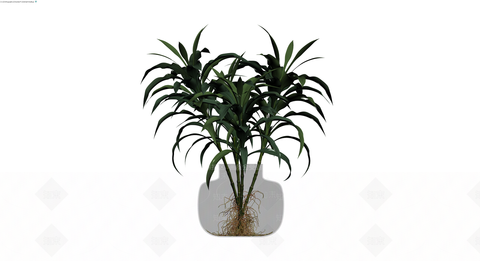 水培富贵竹盆栽3D模型下载【ID:1229865575】