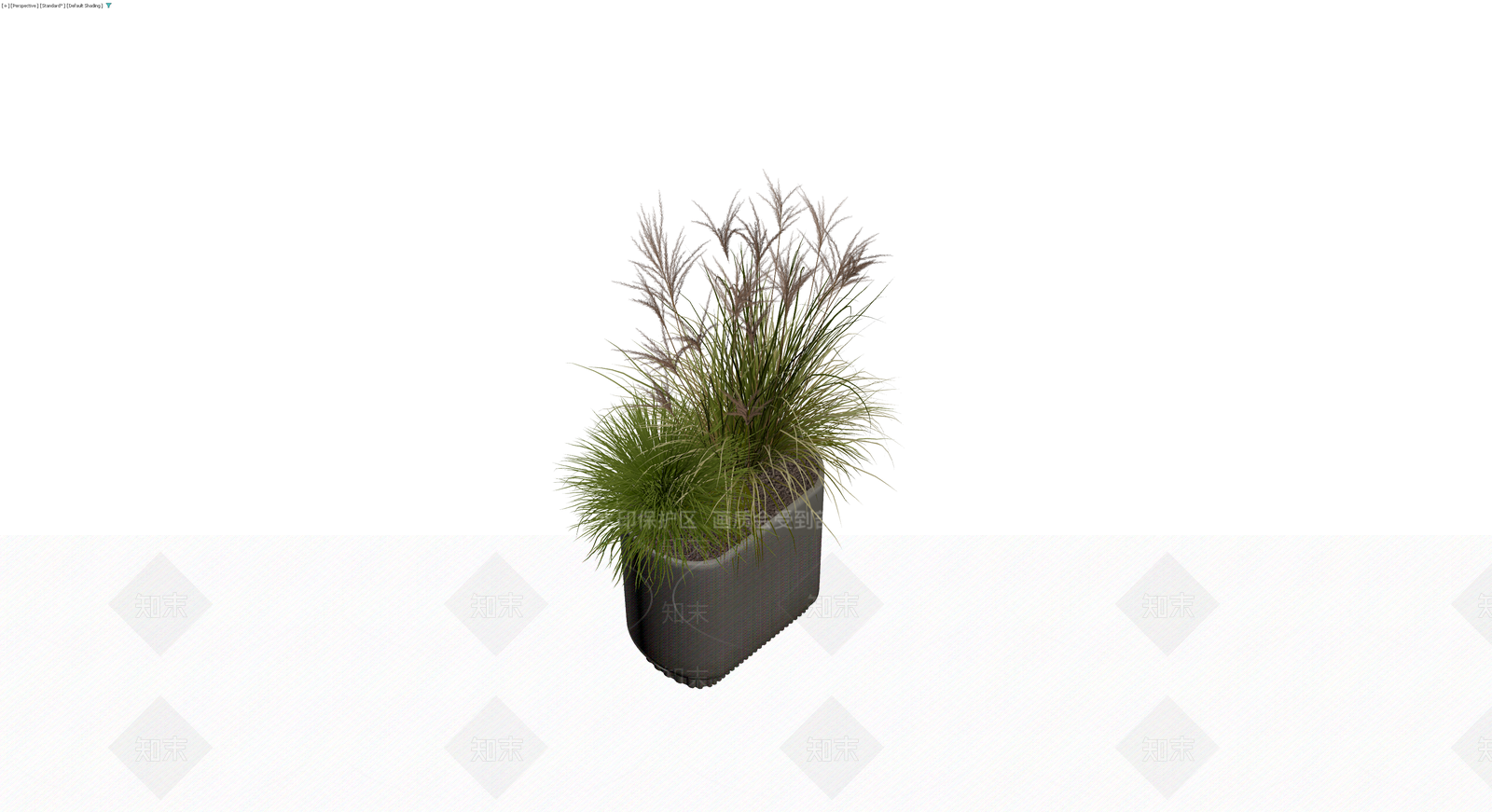灰色花箱配观赏草3D模型下载【ID:1229656412】