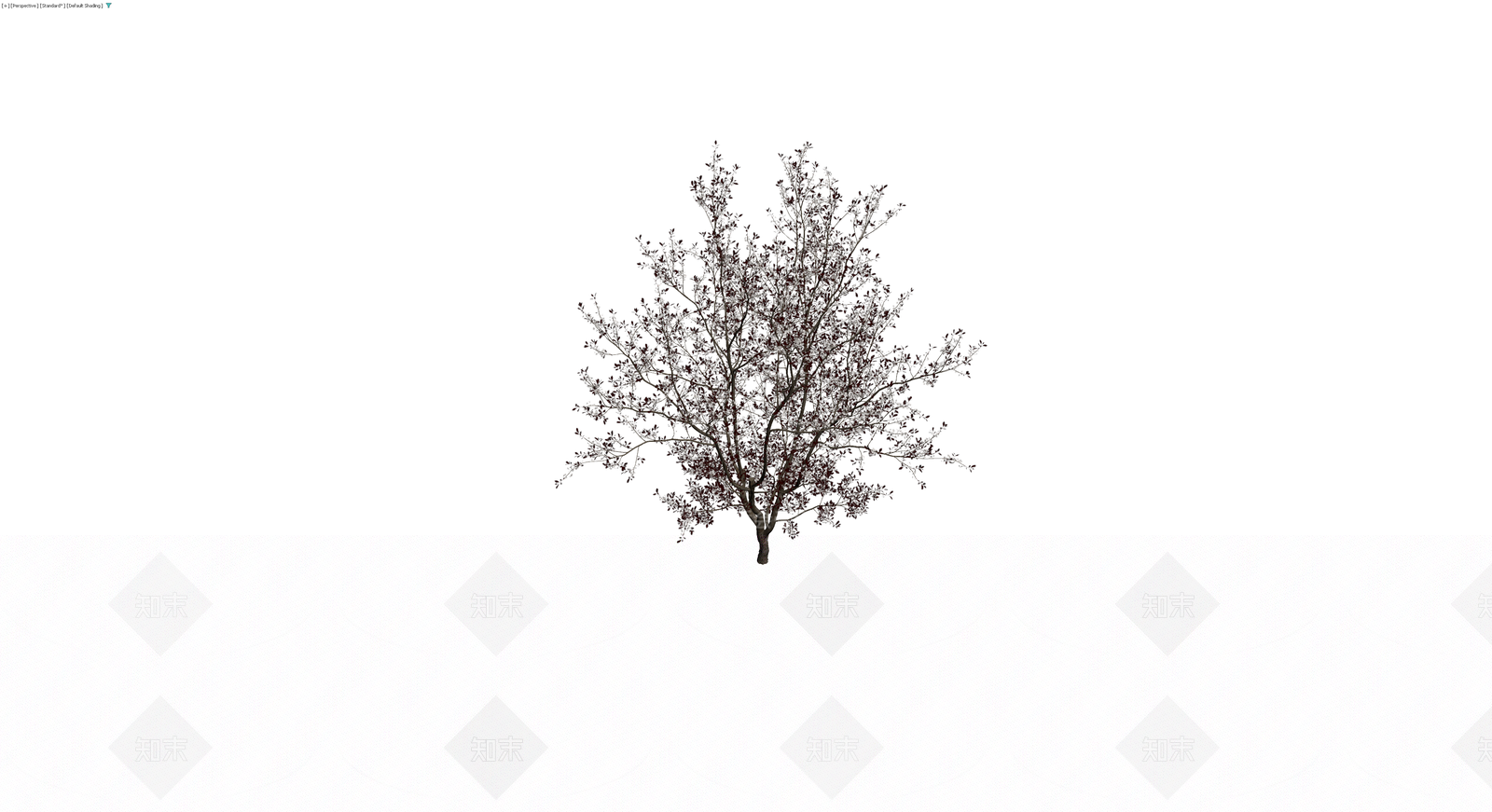 紫叶李乔木模型3D模型下载【ID:1229895911】