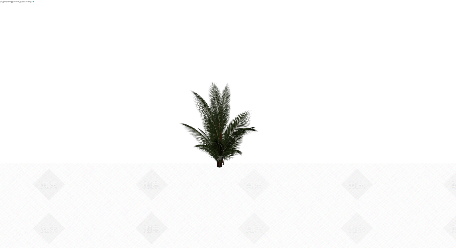 仿真棕榈植物模型3D模型下载【ID:1230381212】