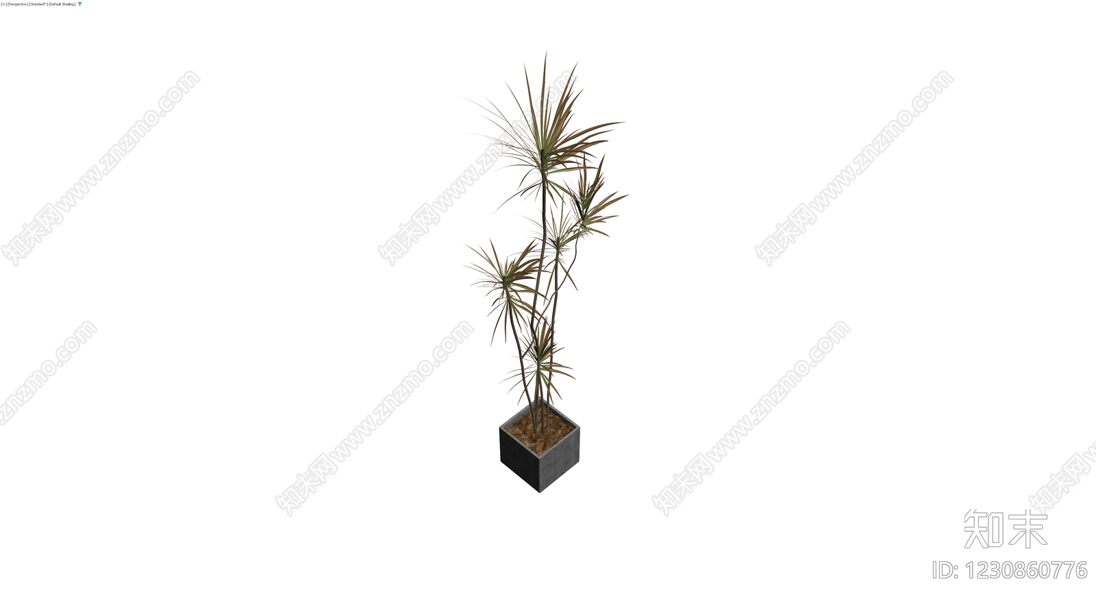 盆栽植物带盆3D模型下载【ID:1230860776】