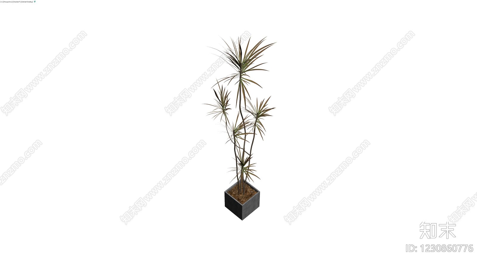 盆栽植物带盆3D模型下载【ID:1230860776】