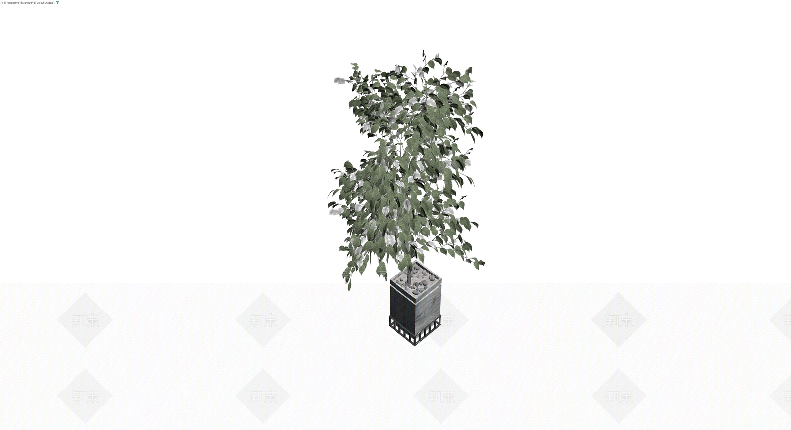 方形花盆绿植盆栽3D模型下载【ID:1230126915】