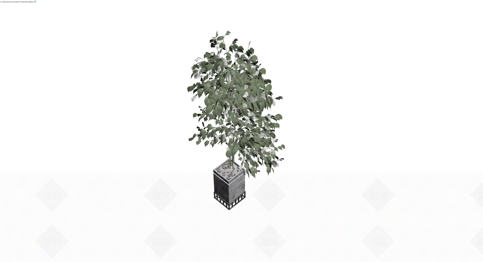 方形花盆绿植盆栽3D模型下载【ID:1230126915】