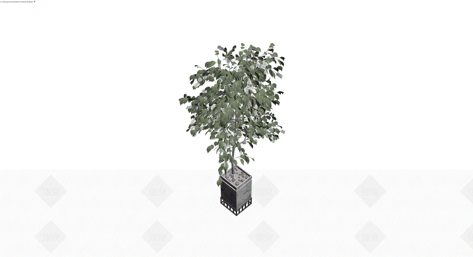 方形花盆绿植盆栽3D模型下载【ID:1230126915】