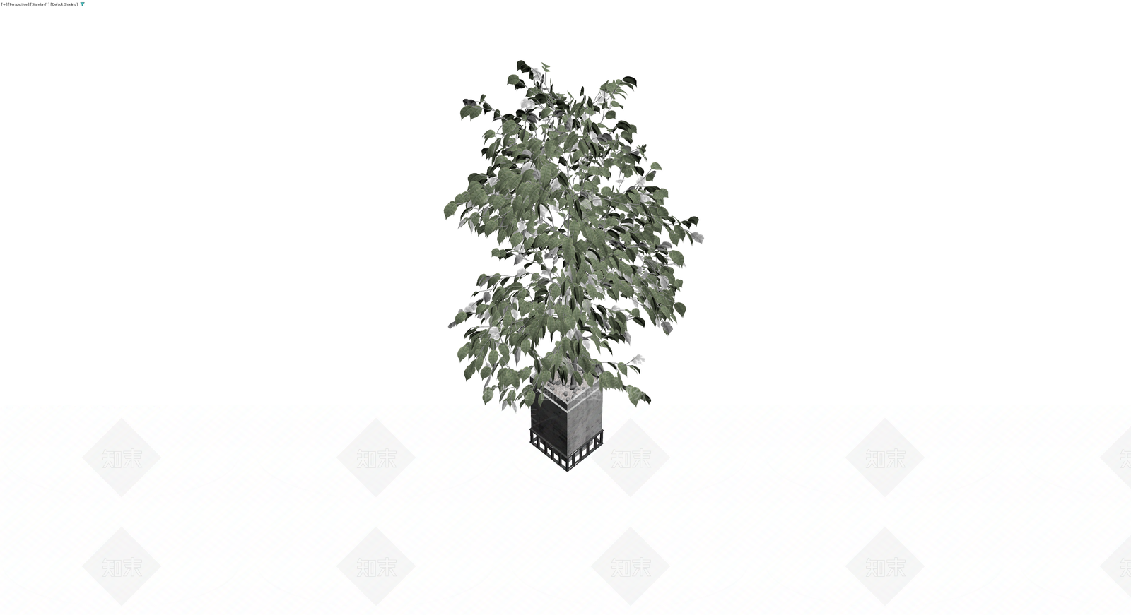 方形花盆绿植盆栽3D模型下载【ID:1230126915】
