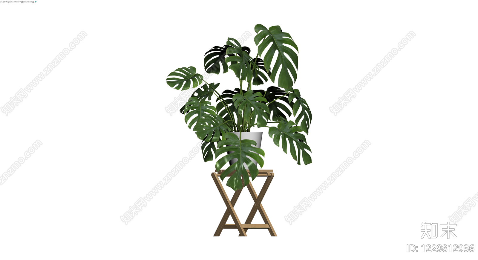 龟背竹盆栽带木架3D模型下载【ID:1229812936】
