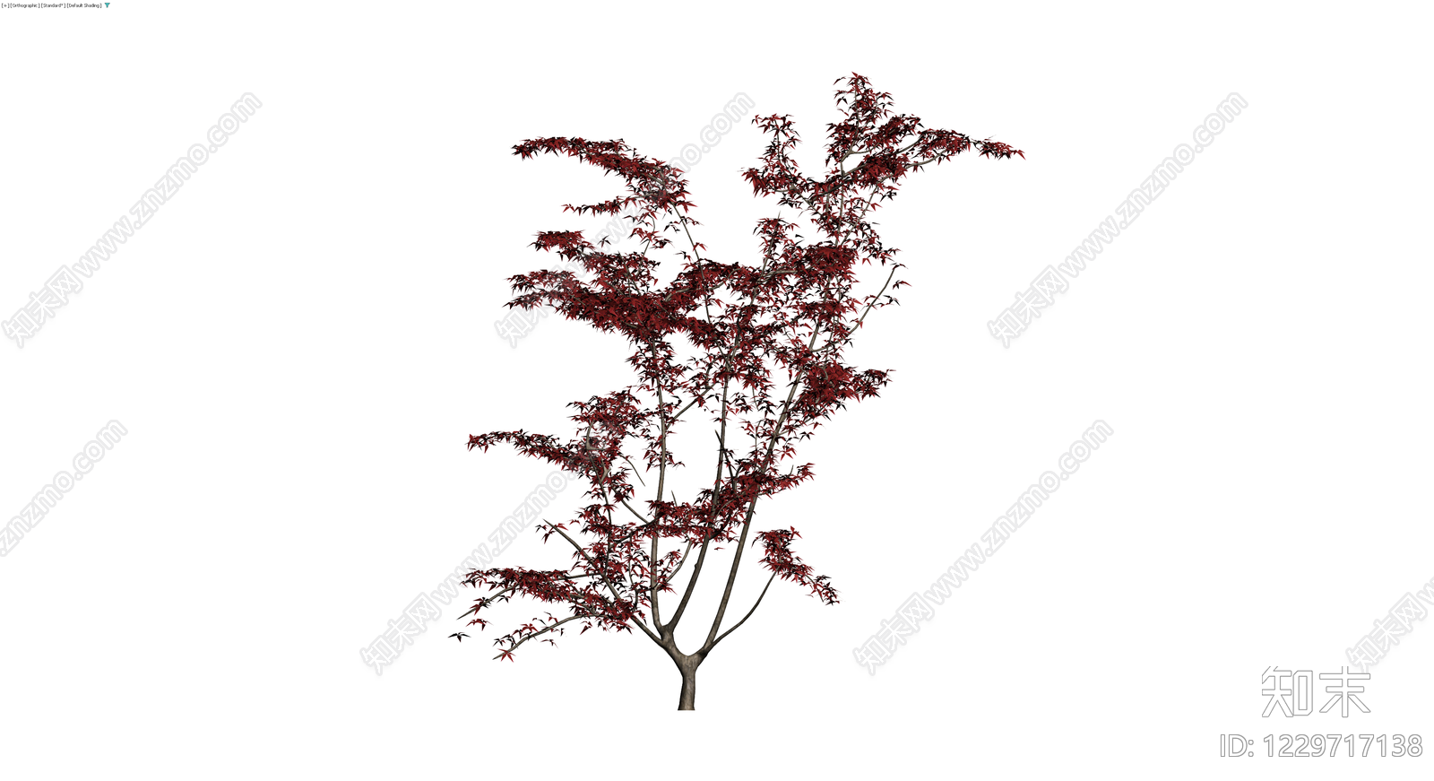 红叶景观乔木模型3D模型下载【ID:1229717138】