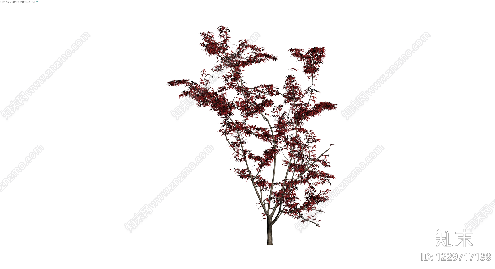 红叶景观乔木模型3D模型下载【ID:1229717138】