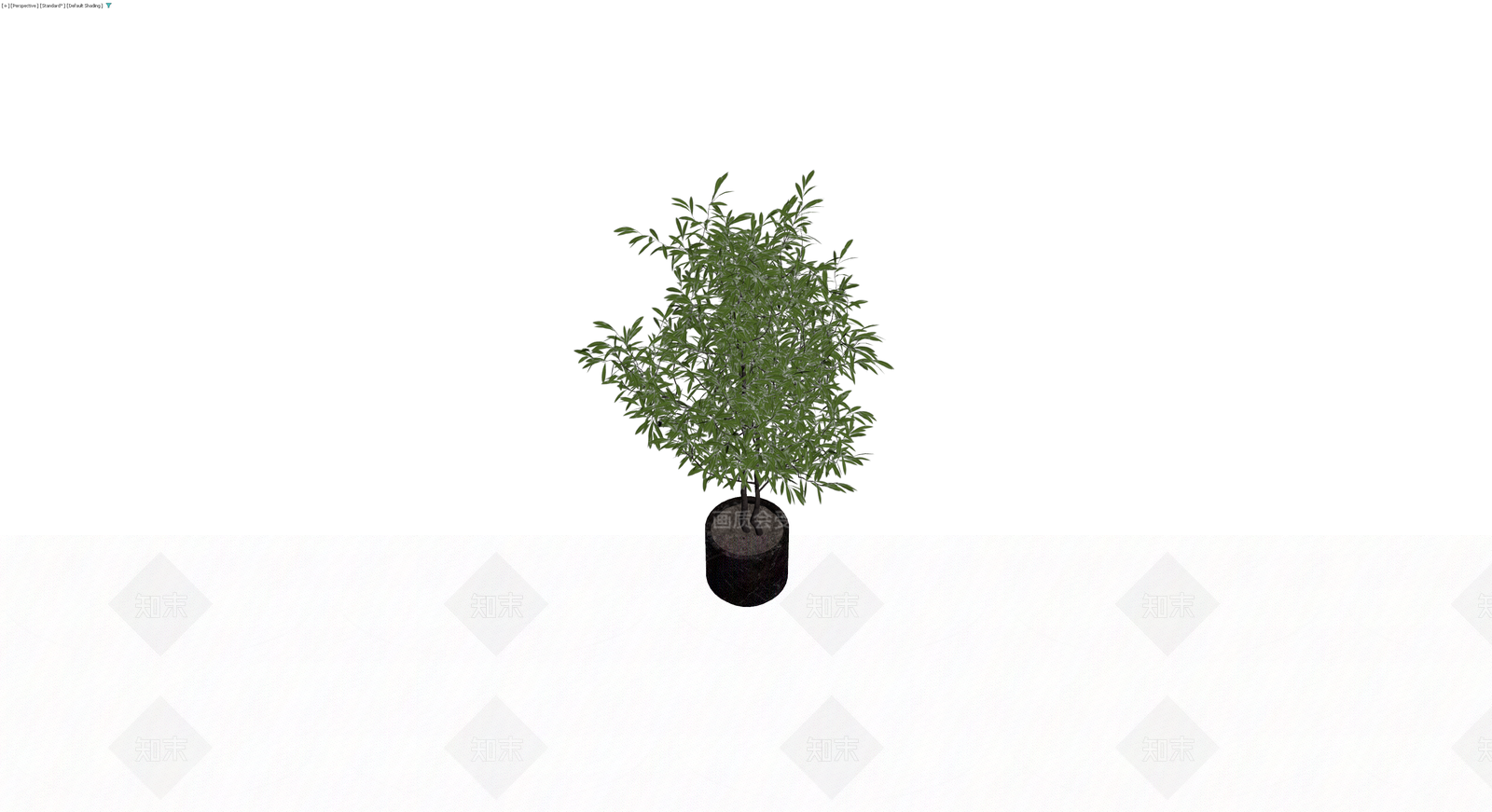 盆栽绿植模型3D模型下载【ID:1229906404】