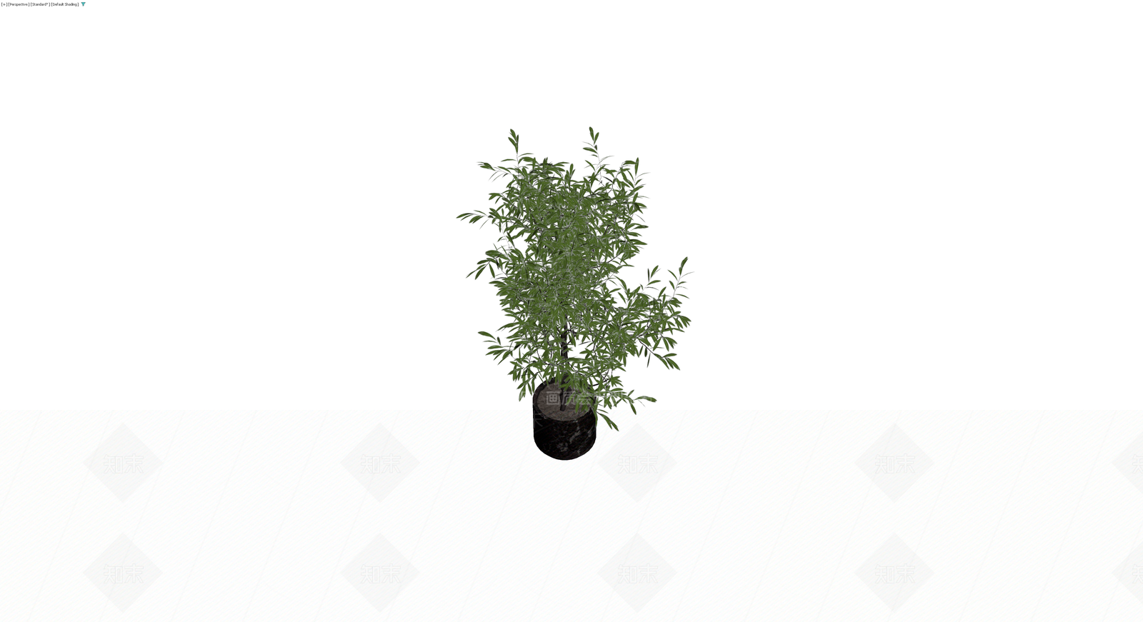 盆栽绿植模型3D模型下载【ID:1229906404】