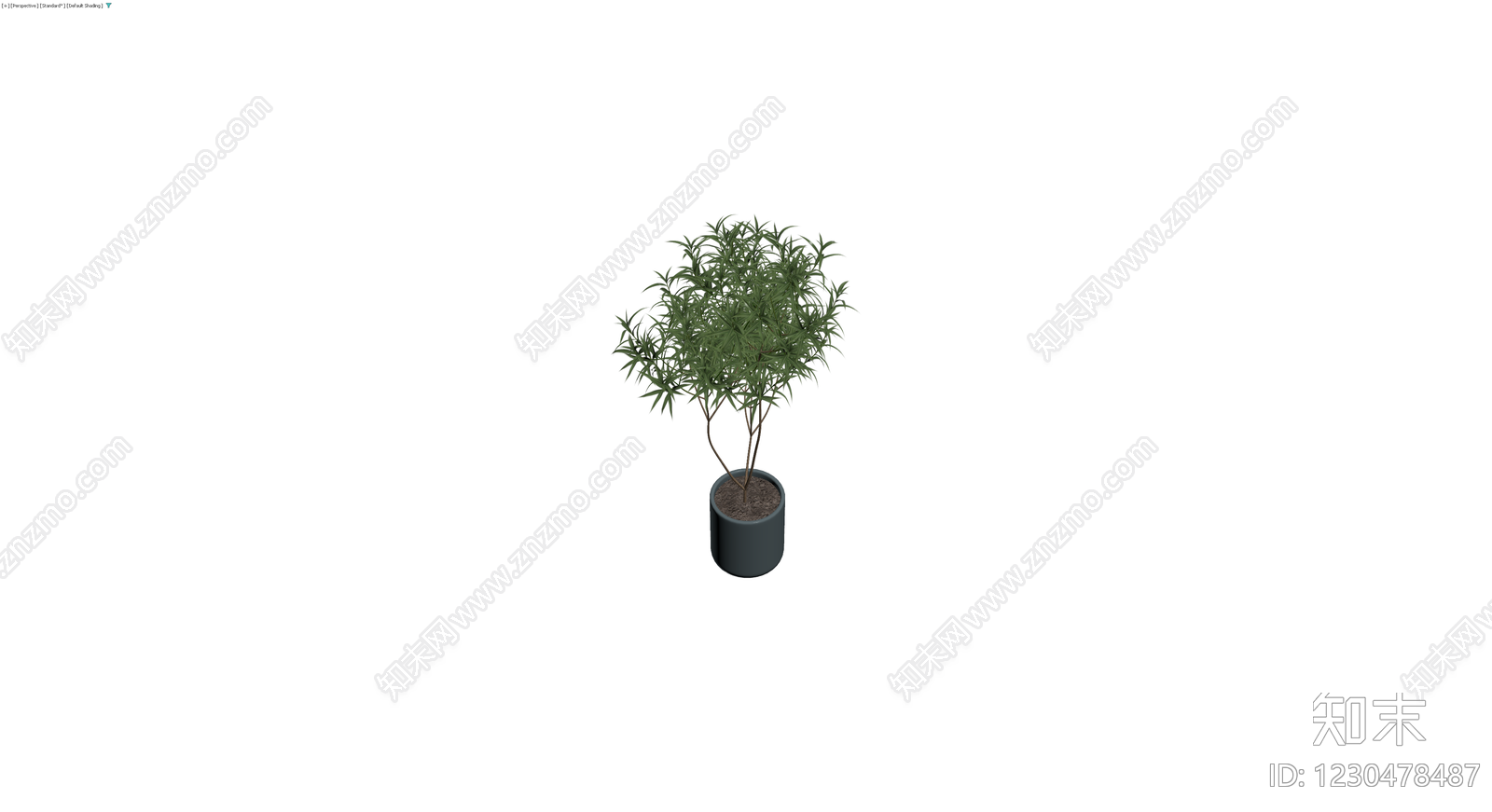 盆栽绿植（带盆）3D模型下载【ID:1230478487】