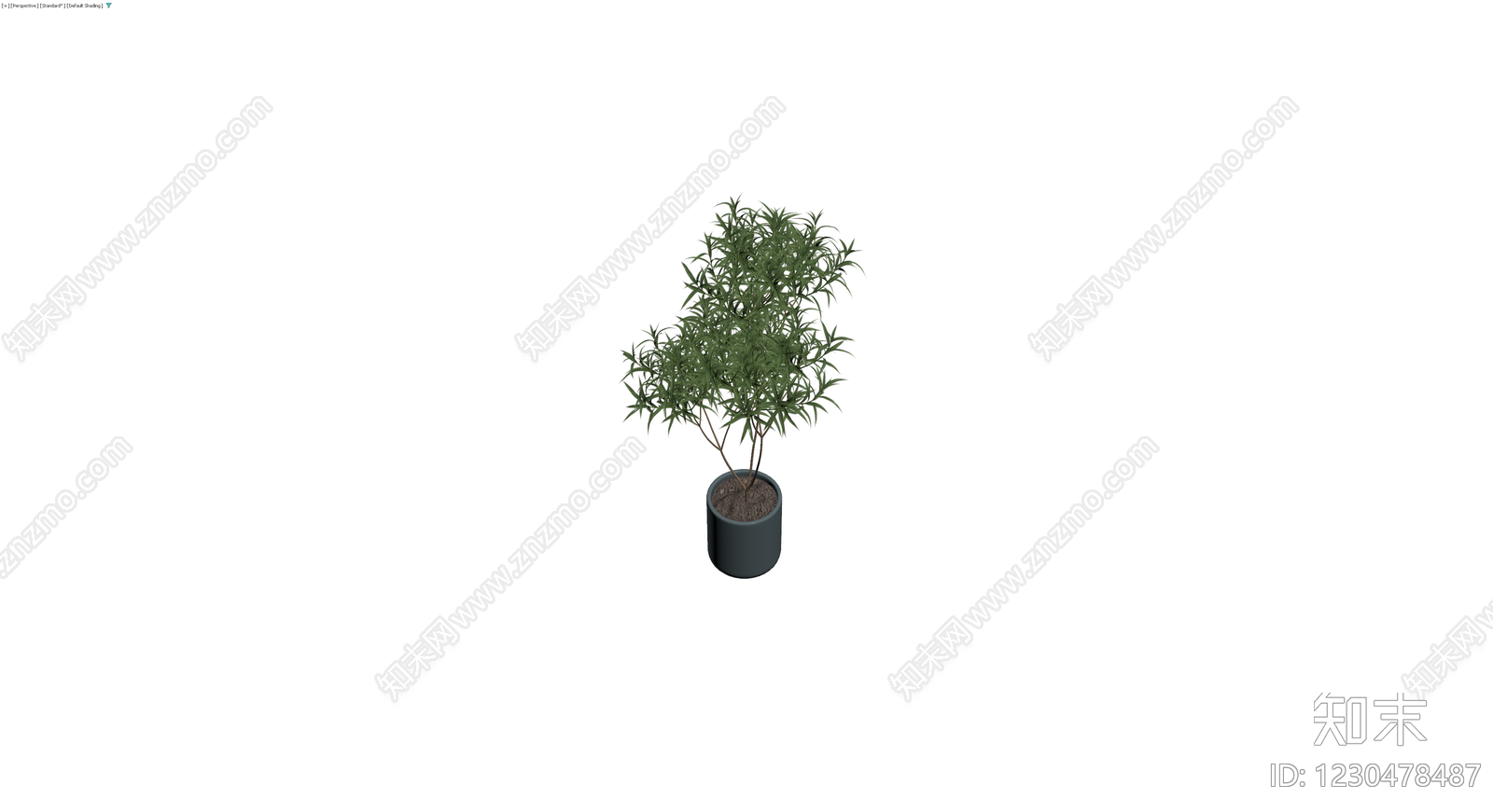 盆栽绿植（带盆）3D模型下载【ID:1230478487】