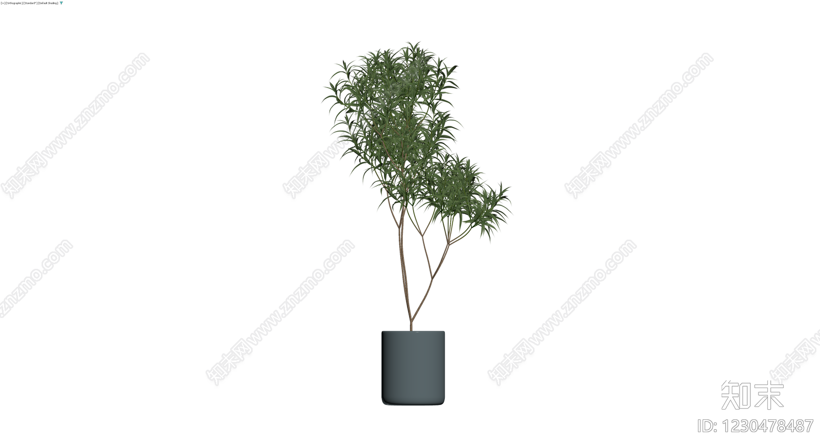 盆栽绿植（带盆）3D模型下载【ID:1230478487】