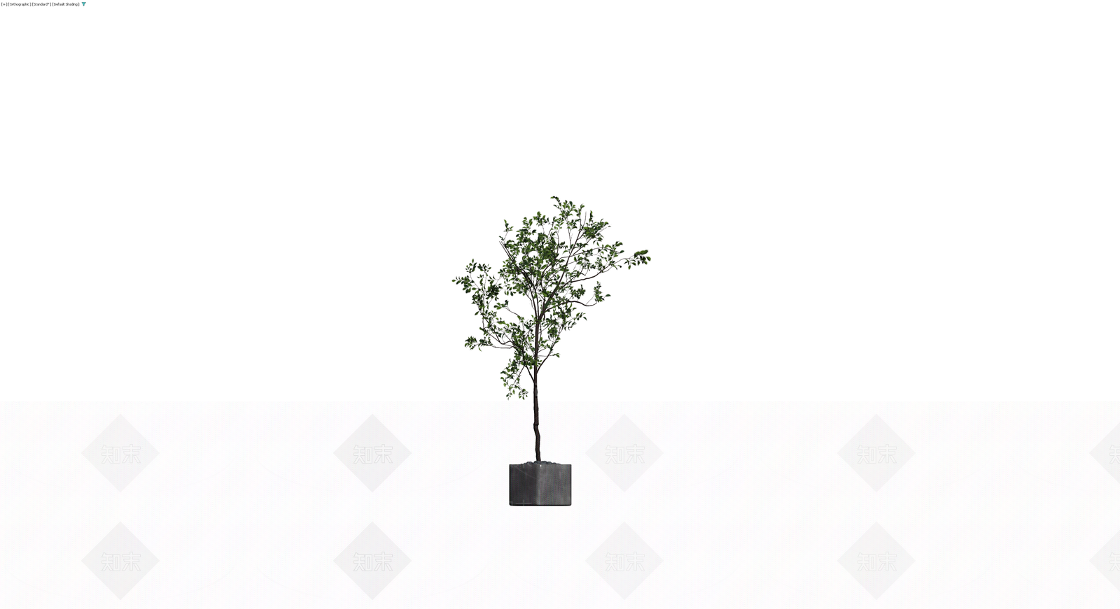 盆栽绿植景观模型3D模型下载【ID:1229628008】